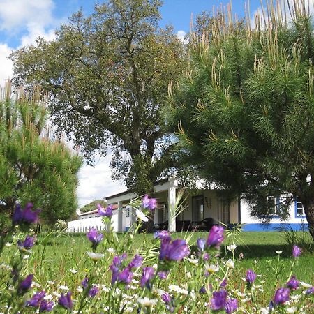 Monte Das Faias Cork Farm Hotel Grândola Dış mekan fotoğraf