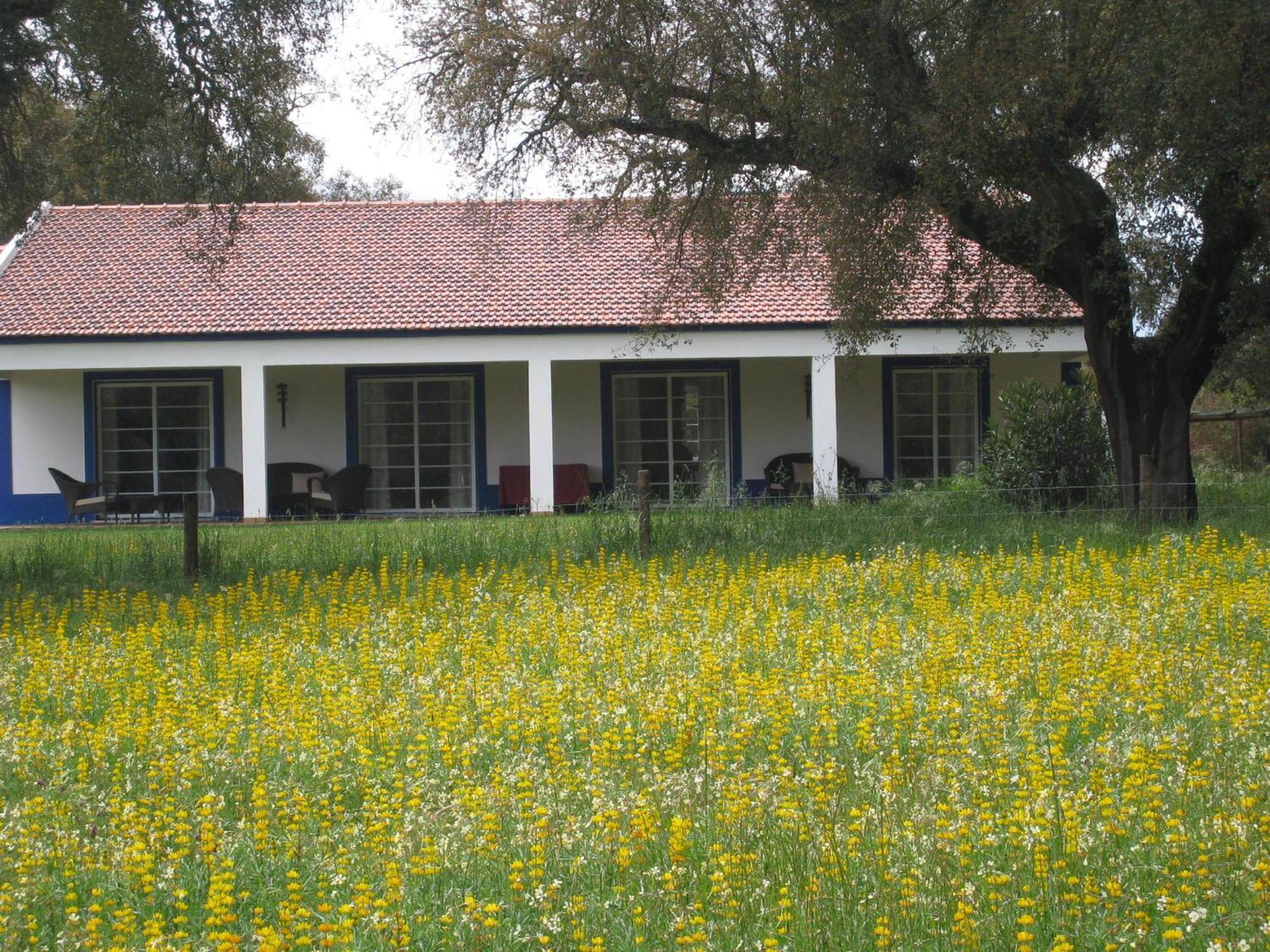 Monte Das Faias Cork Farm Hotel Grândola Dış mekan fotoğraf