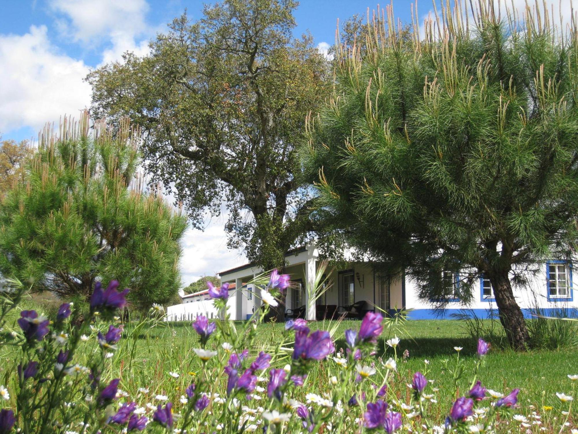 Monte Das Faias Cork Farm Hotel Grândola Dış mekan fotoğraf