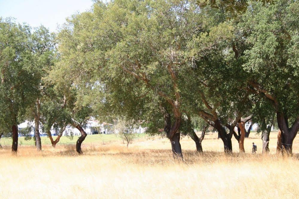 Monte Das Faias Cork Farm Hotel Grândola Dış mekan fotoğraf