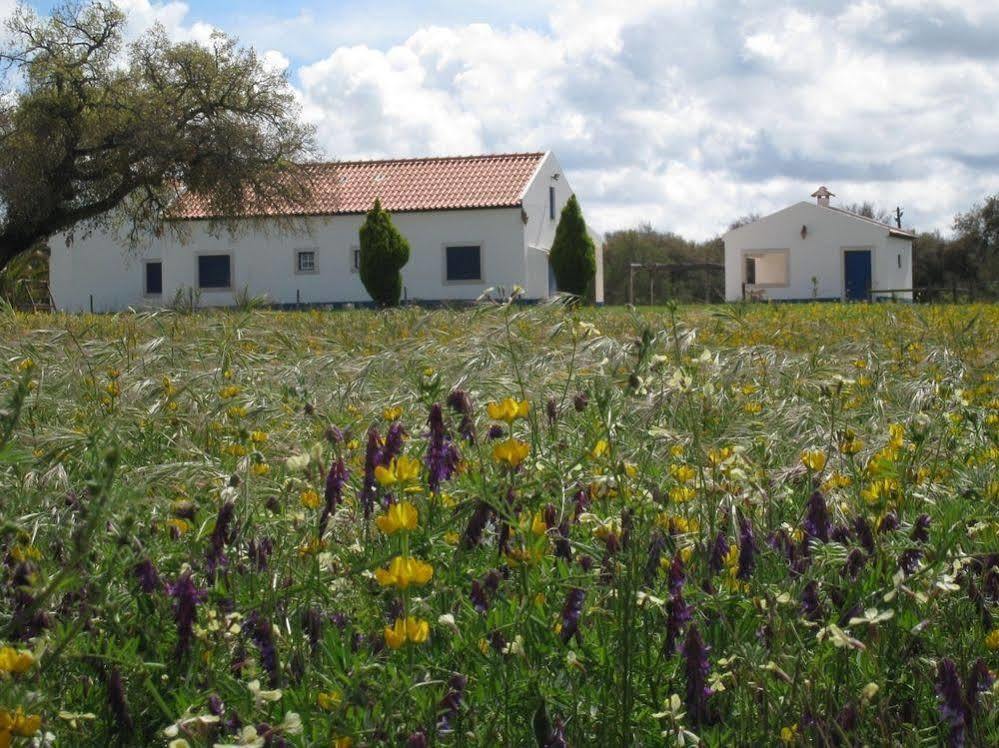 Monte Das Faias Cork Farm Hotel Grândola Dış mekan fotoğraf