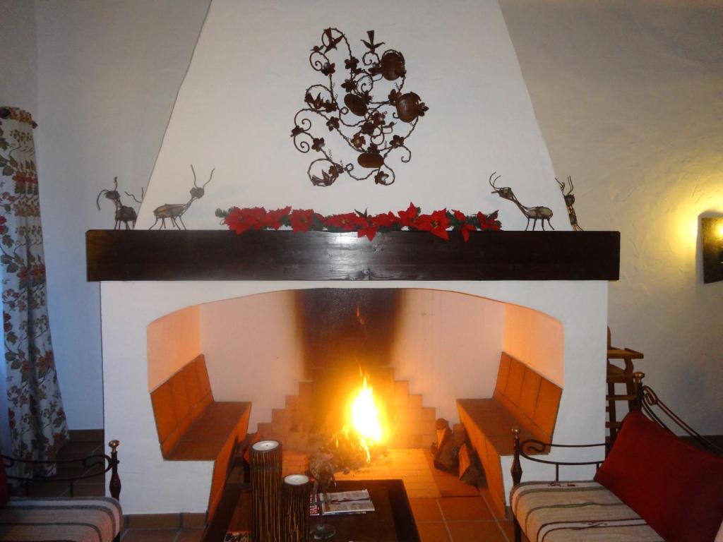 Monte Das Faias Cork Farm Hotel Grândola Dış mekan fotoğraf